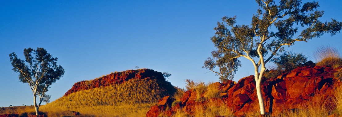 Preliminary Aboriginal Heritage Test 