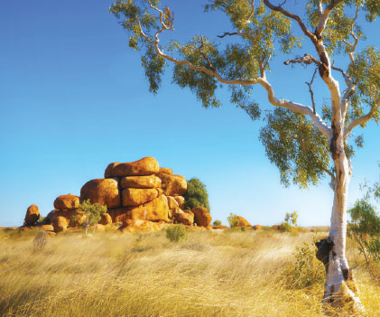 Preliminary Aboriginal Heritage Test