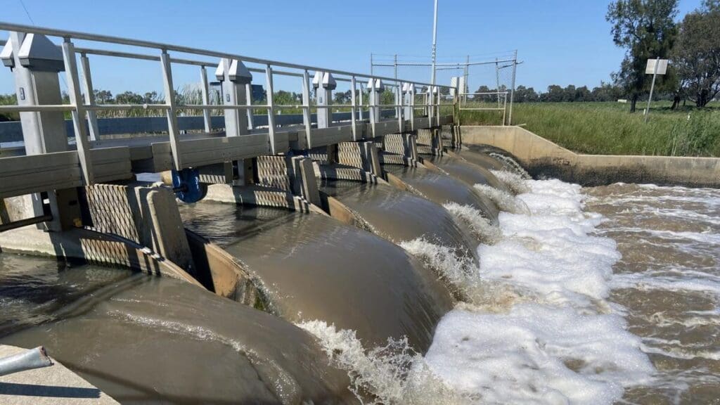 Water flowing through concrete weir gates with metal railings and wetland vegetation nearby